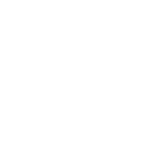 ipad_icon Handwerkersoftware vom Profi